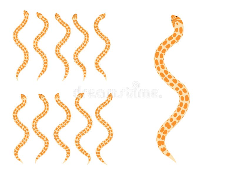 Animation Snake Moves Anatomy Cartoon Vector Illustration Stock Vector -  Illustration of bite, file: 176766401