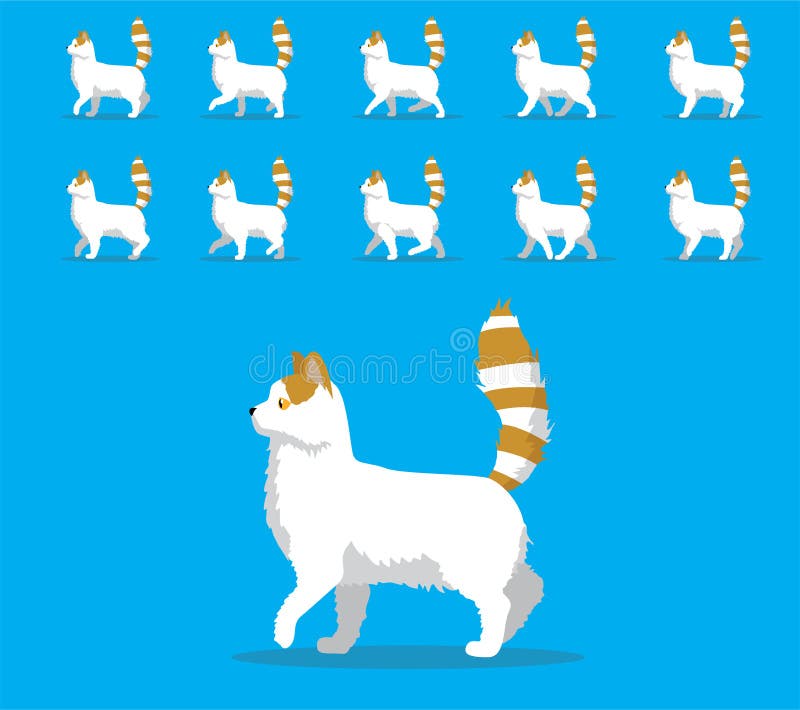 Sequence Cats