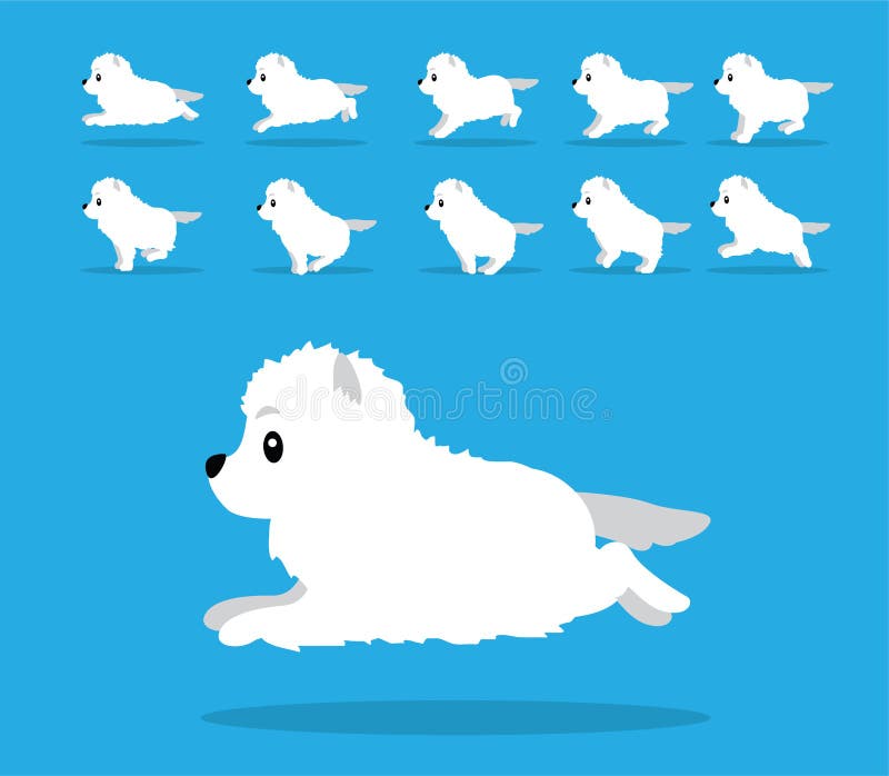Animal Animation Sequence Dog Samoyed Cartoon Vector Stock Vector -  Illustration of format, animate: 183477581