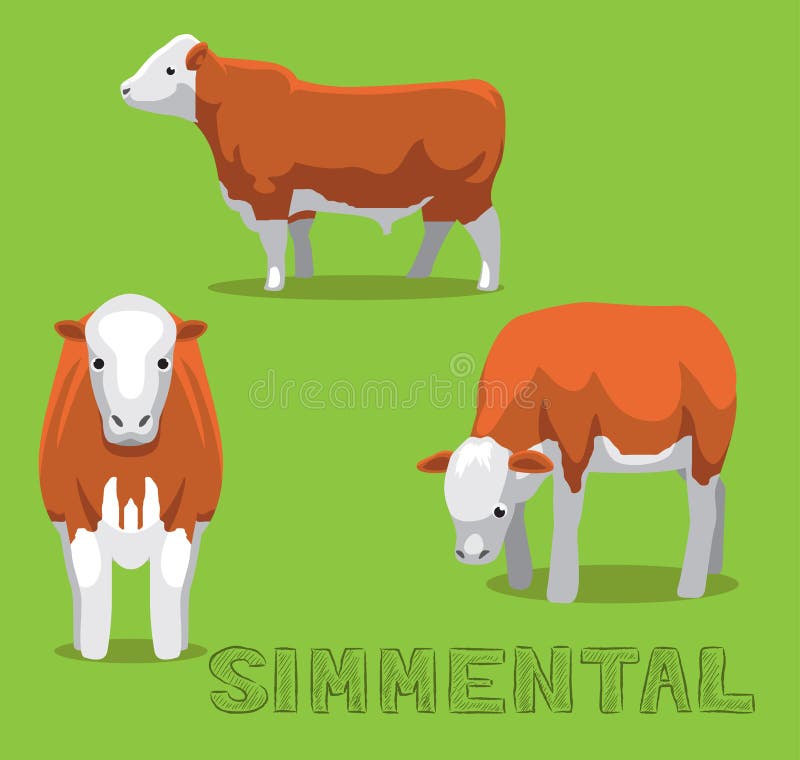 Simmental Percentage Chart