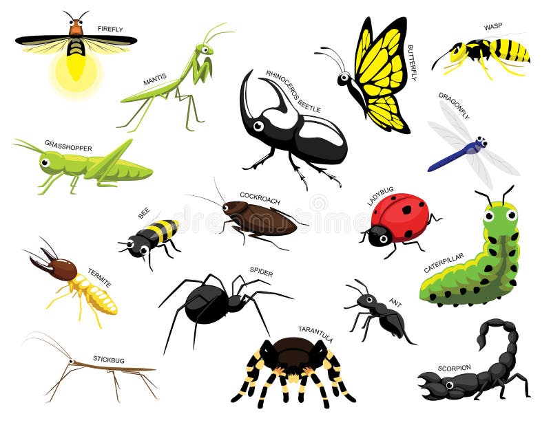 Various Spider Species Poses Cartoon Vector Illustration Stock Vector -  Illustration of cellar, halloween: 161254054