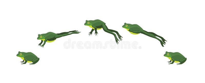 Frog Jumping Animation Sequence Cartoon Vector Illustration Stock Vector -  Illustration of reptile, nature: 113385046