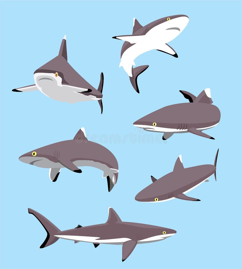 Grey Reef Shark Cartoon Character Stock Vector - Illustration of