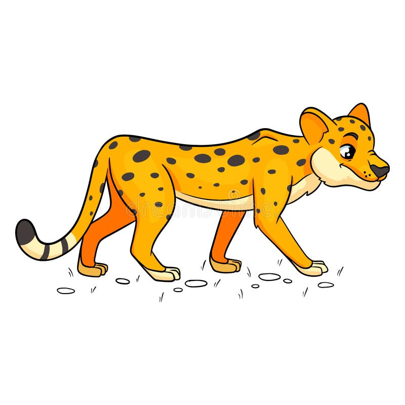 Funny cheetah smiling stock illustration. Illustration of leopard ...