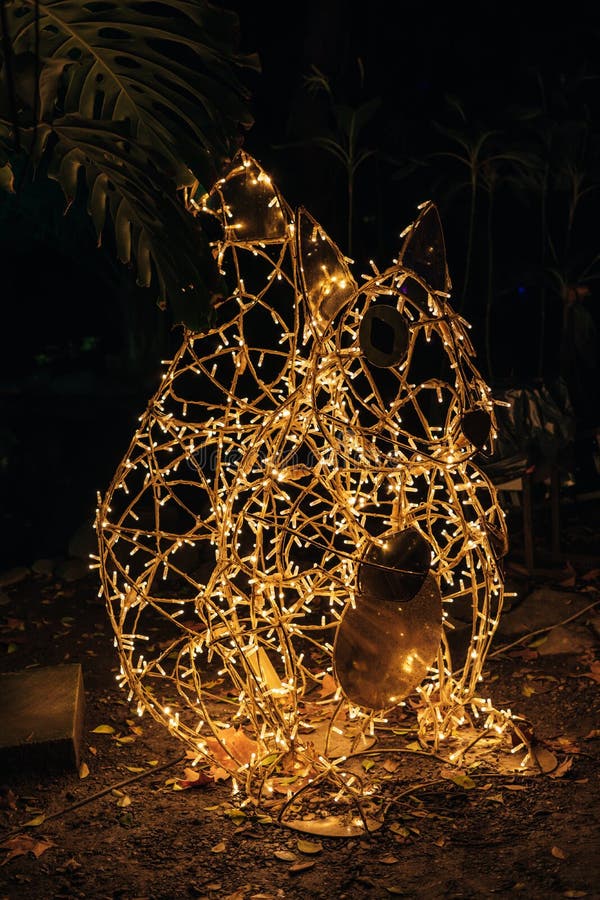 Animal with Christmas Lights among Plants at Night Stock Image Image