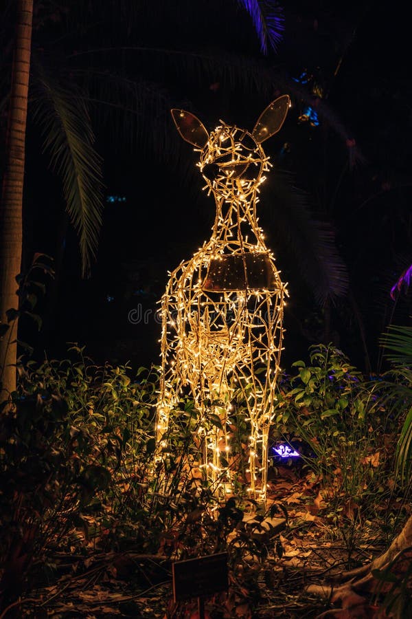 Animal Christmas Lights among Plants at Night Stock Photo Image of