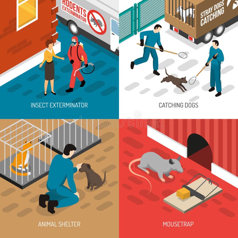 Animal Control Isometric Design Concept Stock Vector - Illustration of  design, chase: 110906948