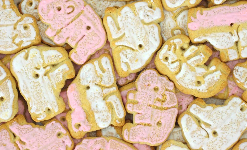 Iced Pink Animal Crackers Aka Bailey: Forever21 Vs Urban Outfitters ...