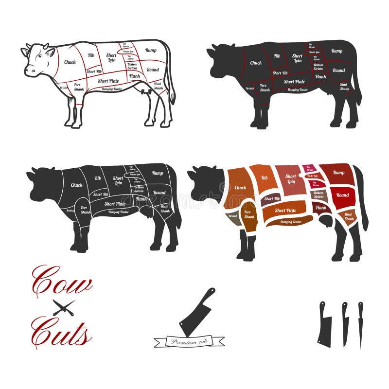 Animal cuts stock illustration. Illustration of sirloin - 155962154