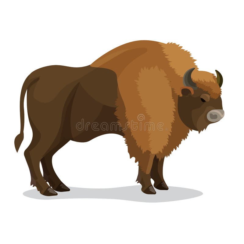 Animal d'Aurochs dans la couleur brune avec des klaxons d'isolement sur le blanc illustration de vecteur Animal d'Aurochs dans la couleur brune avec des klaxons d'isolement sur le blanc illustration de vecteur