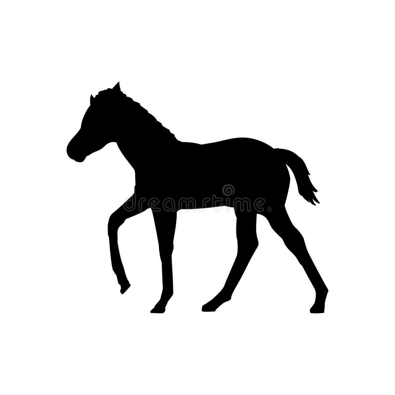 Fofo De Filhote. Cavalo. Objeto Isolado Em Um Fundo Branco. Criança Animal  De Tipo Alegre. Desenho Animado. Engraçado Ilustração do Vetor - Ilustração  de estilo, animal: 218272294