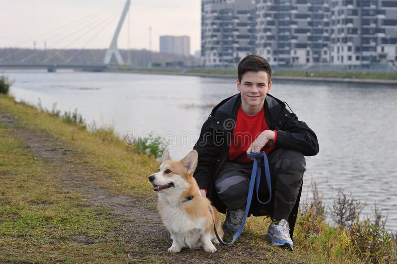 Pet on a walk - Welsh Corgi Pembroke redhead with yellow coloring and boy. Pet on a walk - Welsh Corgi Pembroke redhead with yellow coloring and boy