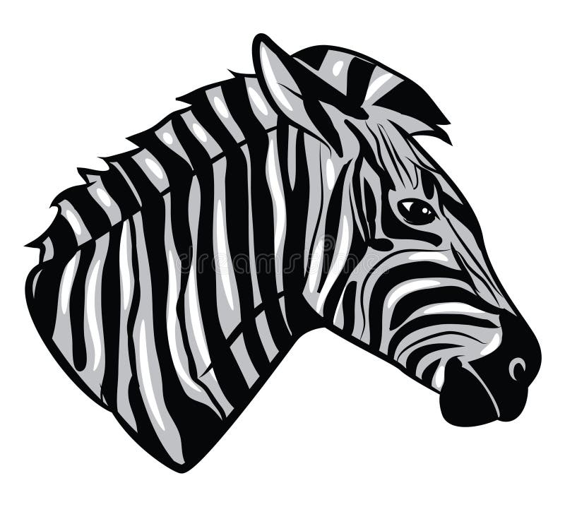 Animal Design Art Line White and Black Stock Vector Illustration of