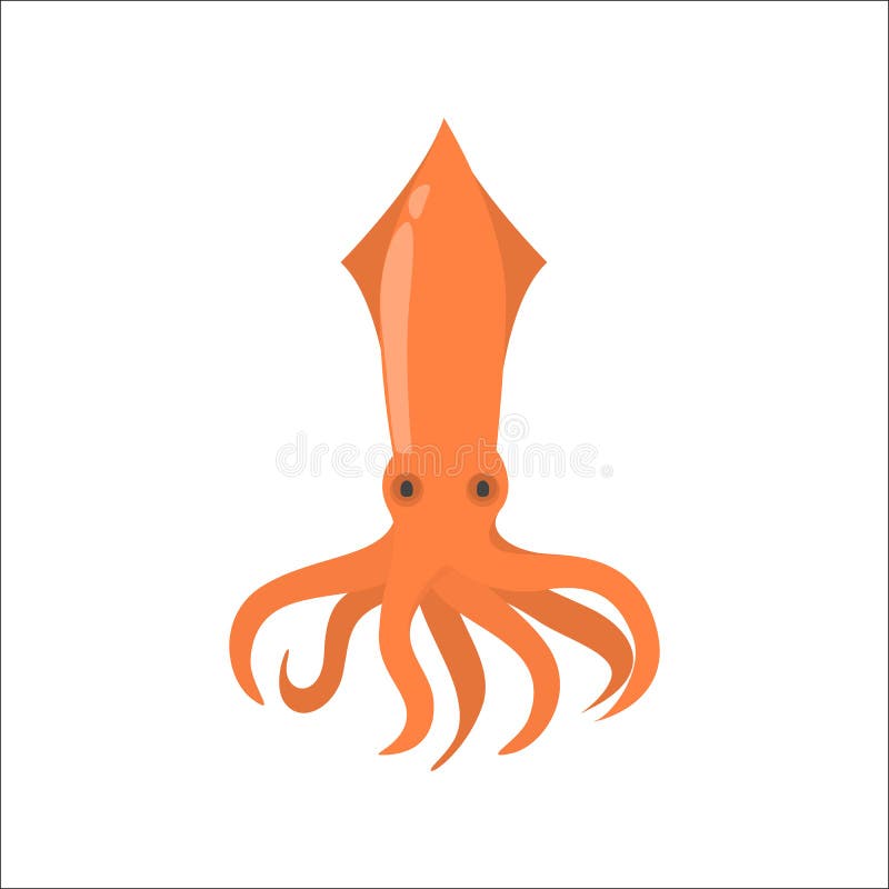 Animal do calamar da cor vermelha do mar ilustração royalty free Animal do calamar da cor vermelha do mar ilustração royalty free