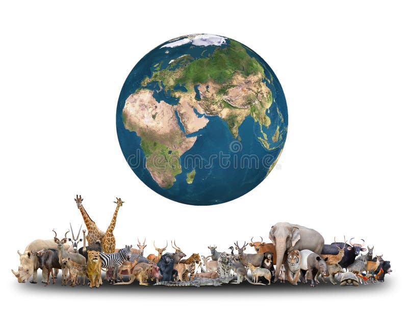 Animal of the world with planet earth on white background,Element of this image are furnished by NASA. Animal of the world with planet earth on white background,Element of this image are furnished by NASA