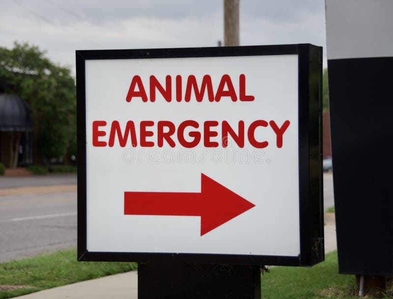 download emergency animal hospital download emergency animal hospital