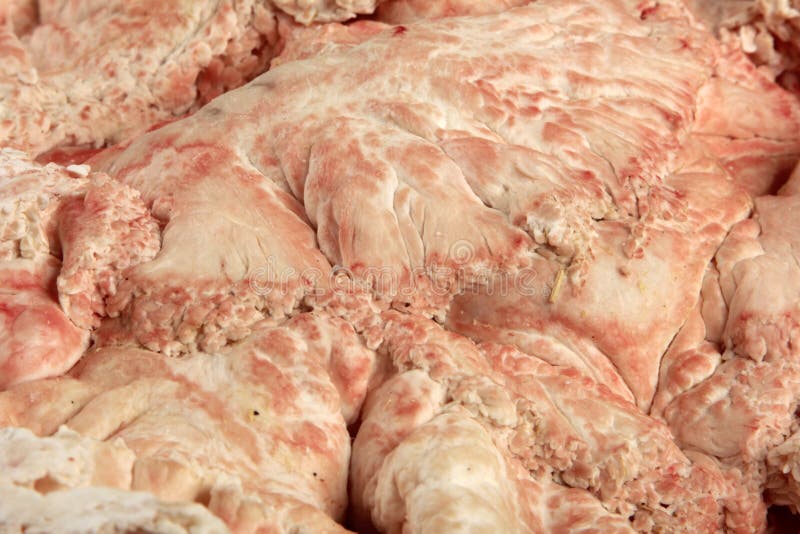 Animal fat stock image. Image of detail, animal, closeup - 38327107