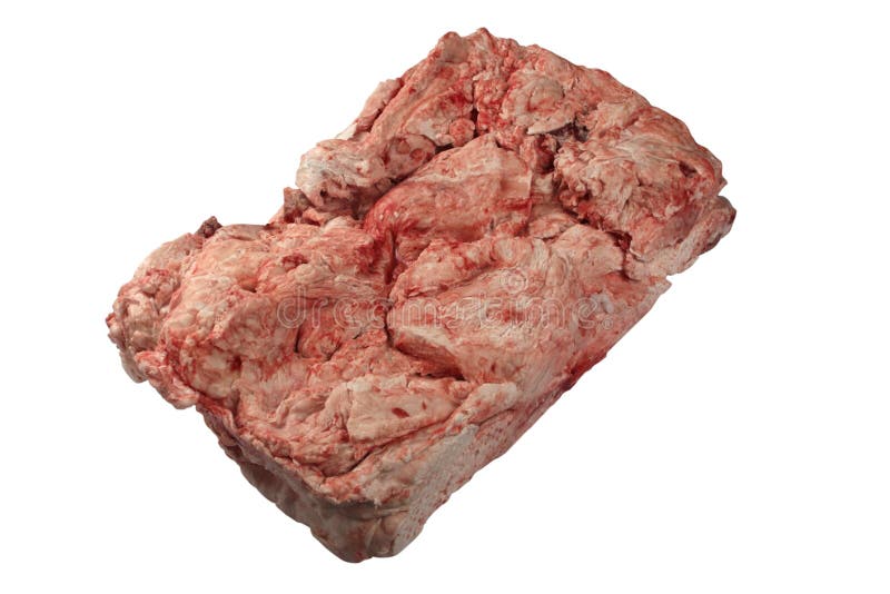 Animal fat stock photo. Image of details, ingredient - 38327500