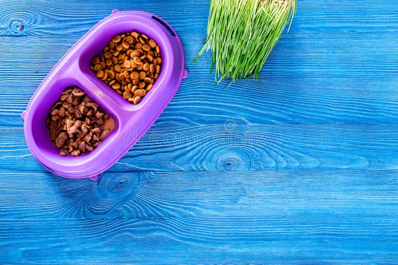 Animal Feed in Bowl and Grass on Blue Table Background Top View