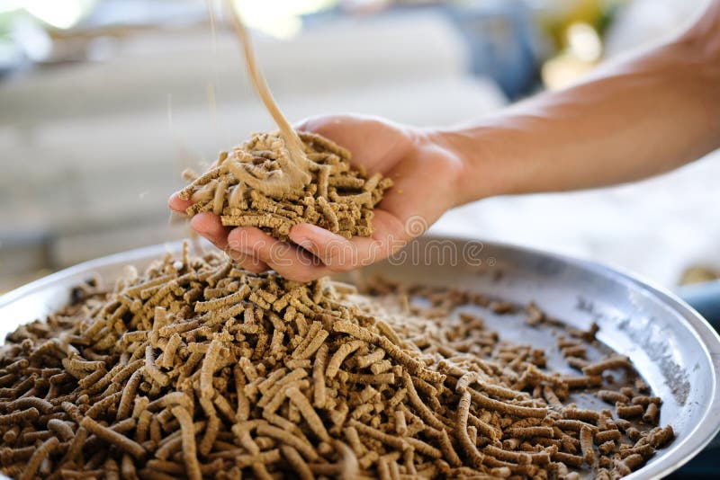 animal feed. mixed fodder pellet for fish stock photos animal feed. mixed fodder pellet for fish stock photos