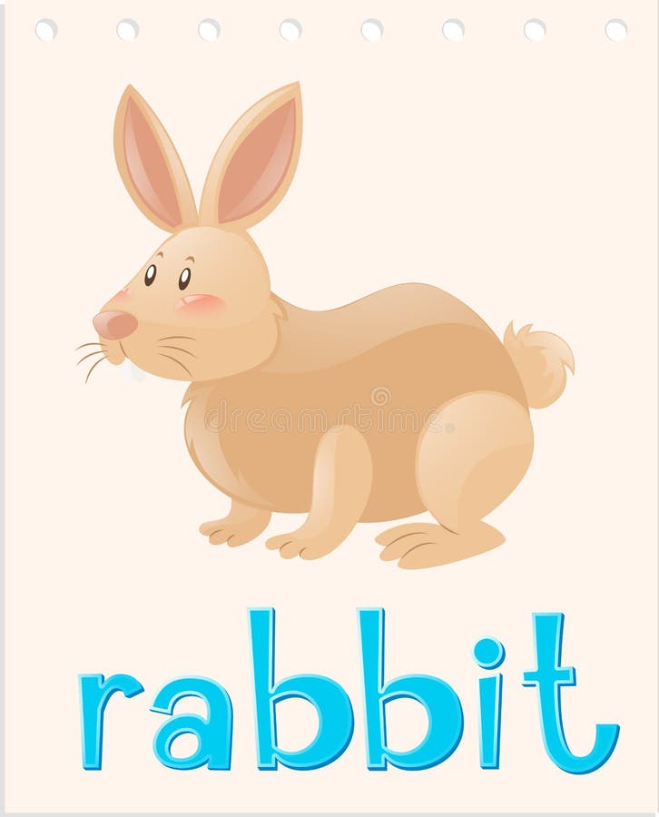 Animal Word Card With Turtle Stock Vector Illustration of object