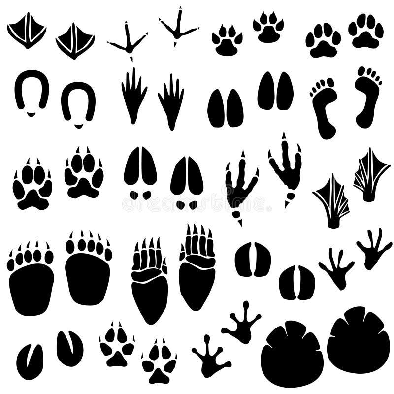 Download Animal Footprint Track Vector Stock Vector - Illustration of deer, horse: 14539725