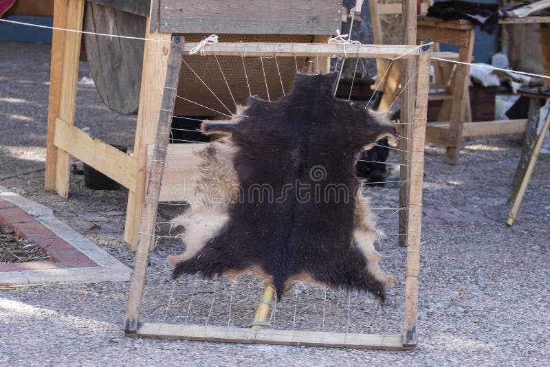 Stretched Animal Hide Stock Photos - Free & Royalty-Free Stock Photos from Dreamstime Stretched Animal Hide Stock Photos - Free & Royalty-Free Stock Photos from Dreamstime