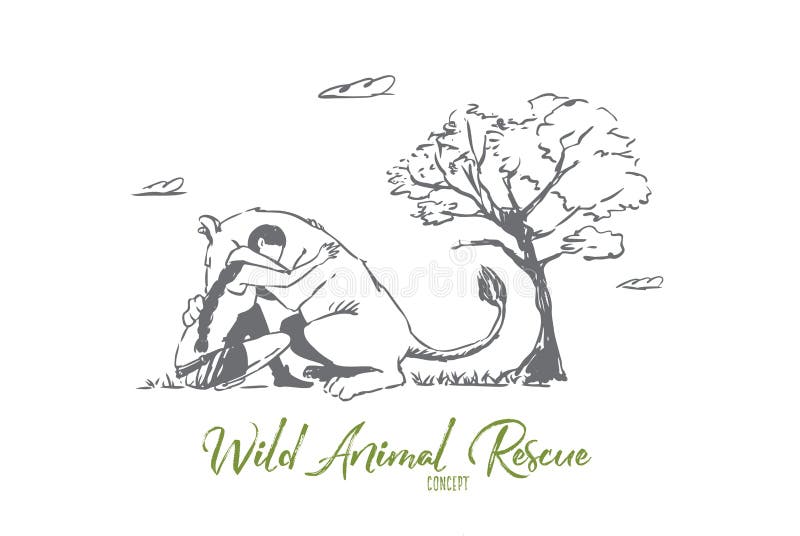 Animal, Lion, Wild, Woman, Save Concept. Hand Drawn Isolated Vector. Stock Vector - Illustration of drawn, hand: 145743029 Animal, Lion, Wild, Woman, Save Concept. Hand Drawn Isolated Vector. Stock Vector - Illustration of drawn, hand: 145743029
