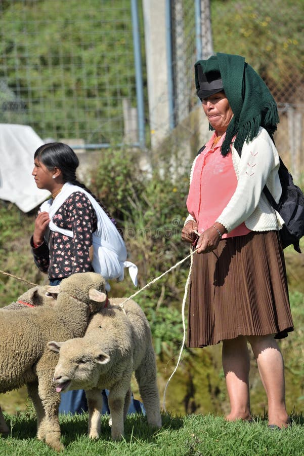 On Saturdays,there is an animal marketMercado de Animales in Otavalo, where local farmers buy and sell their livestock. On Saturdays,there is an animal marketMercado de Animales in Otavalo, where local farmers buy and sell their livestock.