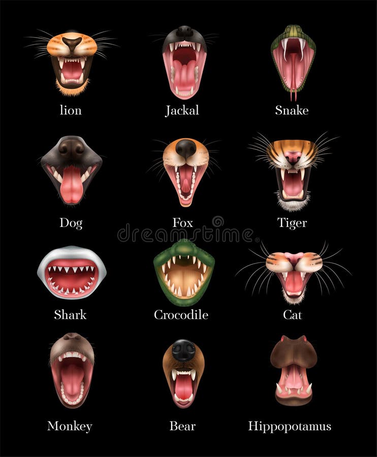 I love cats stock vector. Illustration of animal, mouth - 80465277