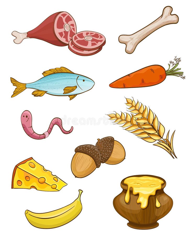Animal natural food items stock vector. Illustration of monkey - 91470968