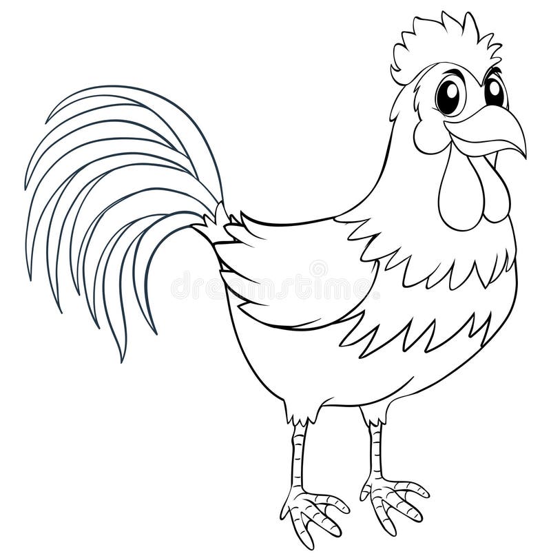 Outline Chicken Stock Illustrations 19 753 Outline Chicken Stock Illustrations Vectors Clipart Dreamstime Outline Chicken Stock Illustrations 19 753 Outline Chicken Stock Illustrations Vectors Clipart Dreamstime