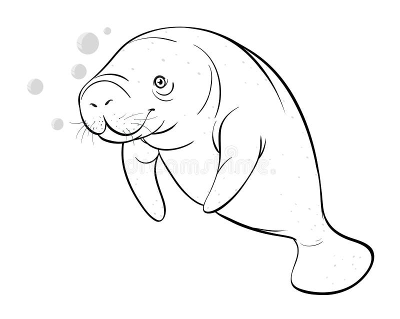 Animal outline for seacow stock vector. Illustration of graphic - 90286728