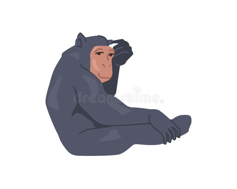 Ilustração vetorial desenhada à mão com alto detalhe de dois macacos, desenho  realista, esboço