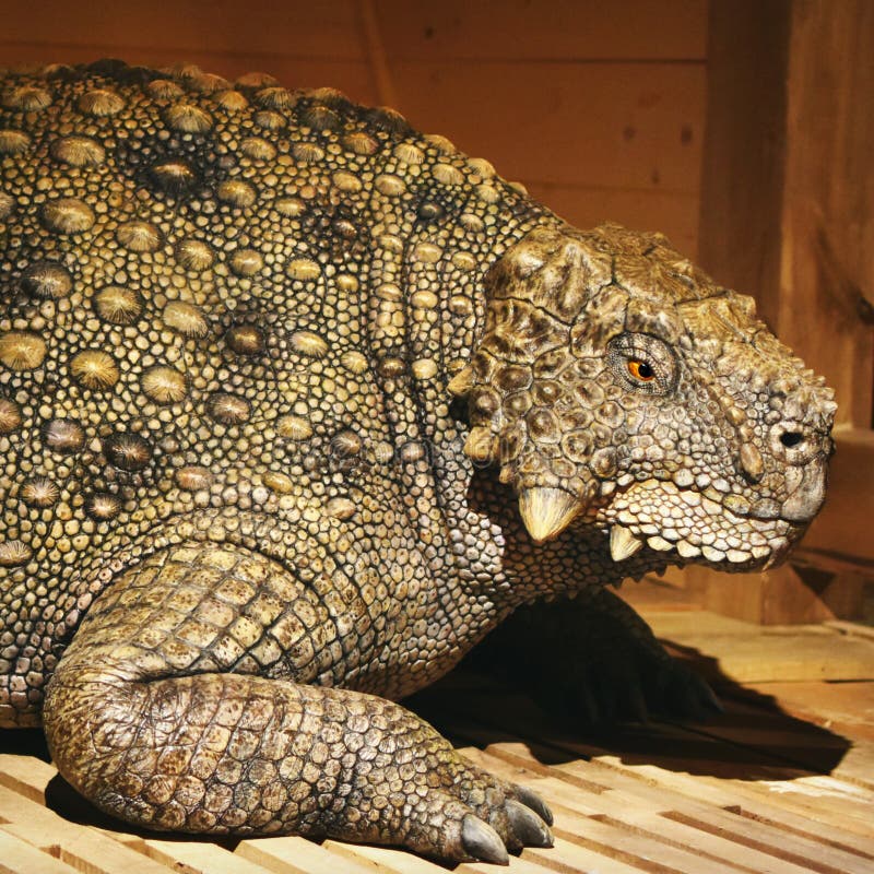 An example of an extinct `kind` on the Ark Encounter in Williamstown, Kentucky. A life-sized replica of Noah`s ark from the Biblical story. This animal represents the extinct Simosuchus which was one of many strange prehistoric species who had features similar to both mammals and reptiles. An example of an extinct `kind` on the Ark Encounter in Williamstown, Kentucky. A life-sized replica of Noah`s ark from the Biblical story. This animal represents the extinct Simosuchus which was one of many strange prehistoric species who had features similar to both mammals and reptiles.