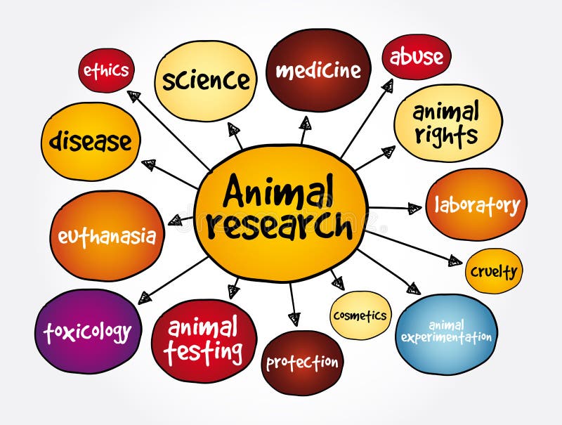 Animal Research Mind Map, Concept for Presentations and Reports Stock  Illustration - Illustration of cruelty, protect: 231263374