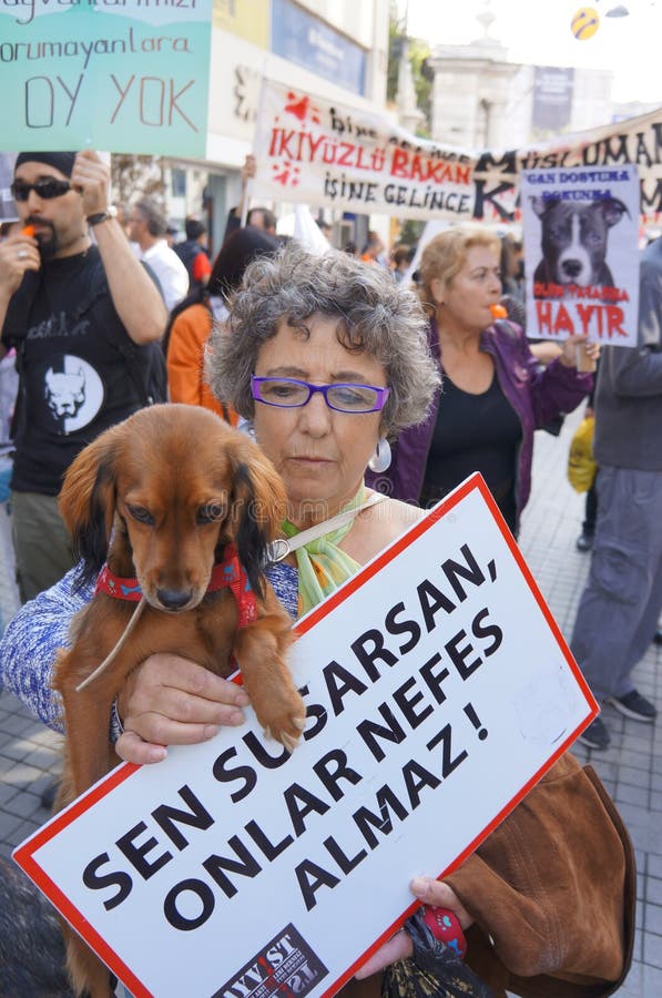 Animal Rights editorial photo. Image of rights, turkey 27253291
