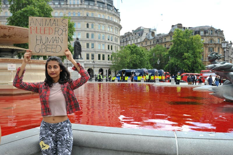 Animal rights activists turn Trafalgar Square fountains in London blood red