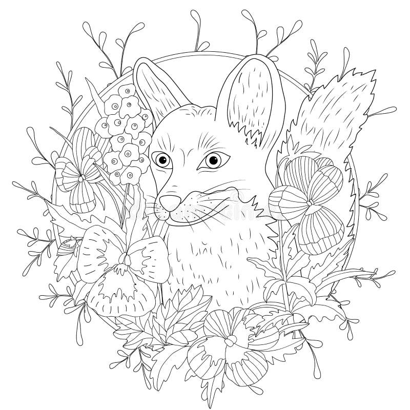 Desenhos para colorir gratuitos de Raposas para baixar - Raposas - Coloring  Pages for Adults