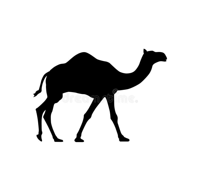 Animal Silhouette Sitting Camel Illustration Minimal Creative Art Stock ...