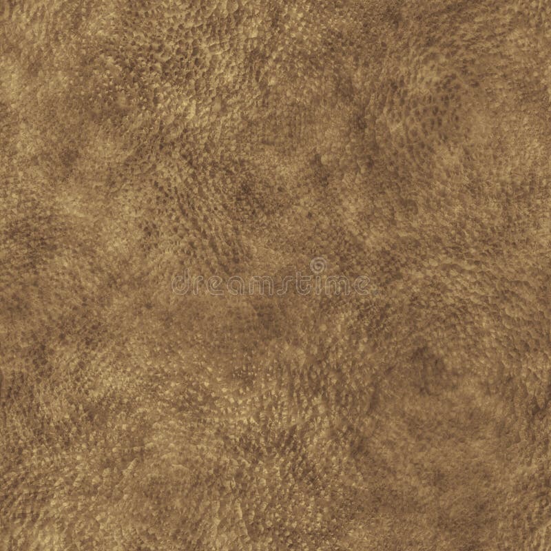Animal Skin stock image. Image of tile, texture, rhinoceros - 20199217 Animal Skin stock image. Image of tile, texture, rhinoceros - 20199217
