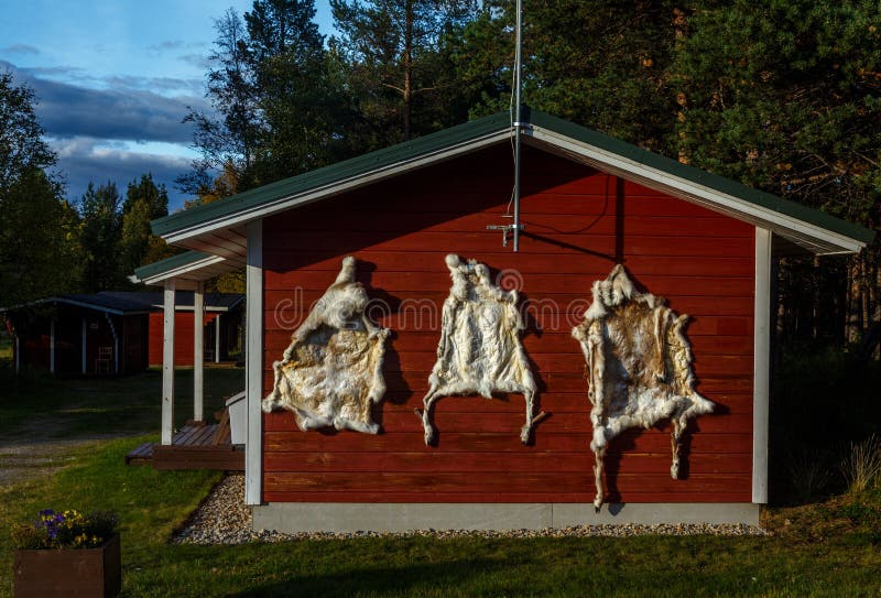 Animal Skin , Deer Hide in Lapland / Finland Stock Photo - Image of warm, clothing: 184229084 Animal Skin , Deer Hide in Lapland / Finland Stock Photo - Image of warm, clothing: 184229084