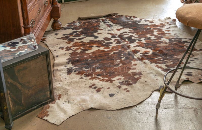 Animal skin rug. stock image. Image of room, tanned - 164120059 Animal skin rug. stock image. Image of room, tanned - 164120059