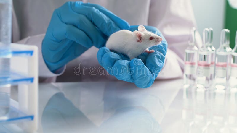 subcutaneous injection in mice