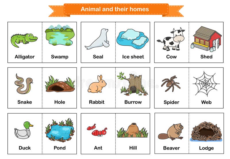 Animal and Their Homes Flash Cards. Printable Flash Card Illustrating. -  Flashcards for Education Stock Vector - Illustration of homework, hive:  198026203
