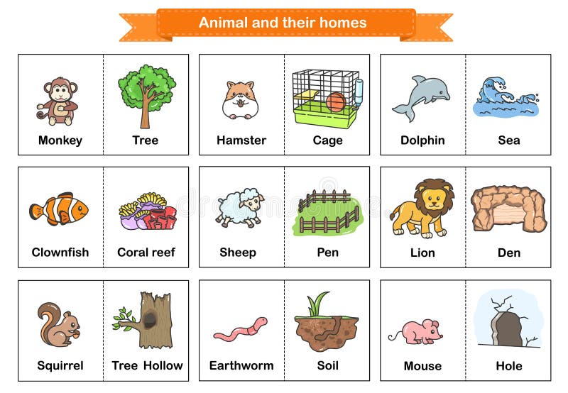 Animal and Their Homes Flash Cards. Printable Flash Card Illustrating. - Flashcards for Education Stock Vector - Illustration of homework, hollow: 198026231 Animal and Their Homes Flash Cards. Printable Flash Card Illustrating. - Flashcards for Education Stock Vector - Illustration of homework, hollow: 198026231