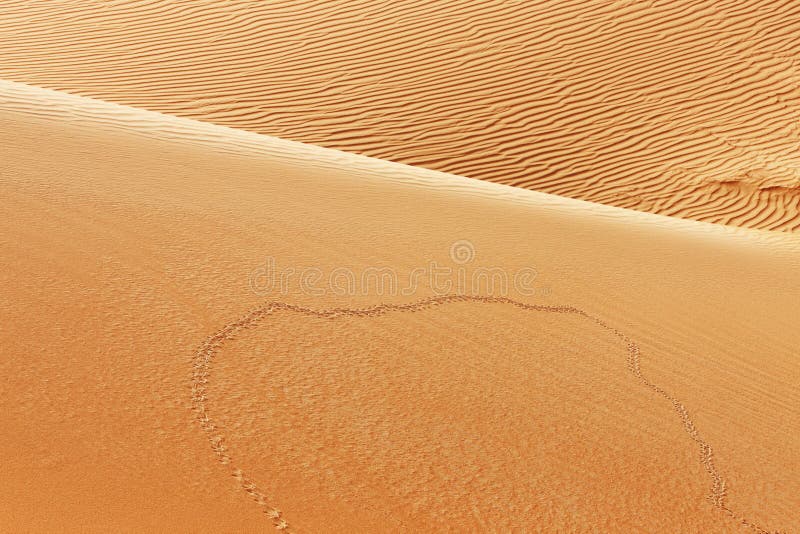 Animal Tracks on Sand Dunes of the Arabian Desert Stock Image - Image