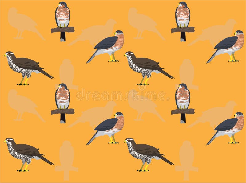 Animal Bird of Prey Eagle Hawk Kite Falcon Owl Vulture Characters Cartoon  Vector Stock Vector - Illustration of barred, harrier: 271301789