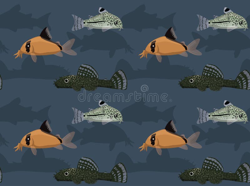 Redtail catfish HD wallpaper  Pxfuel