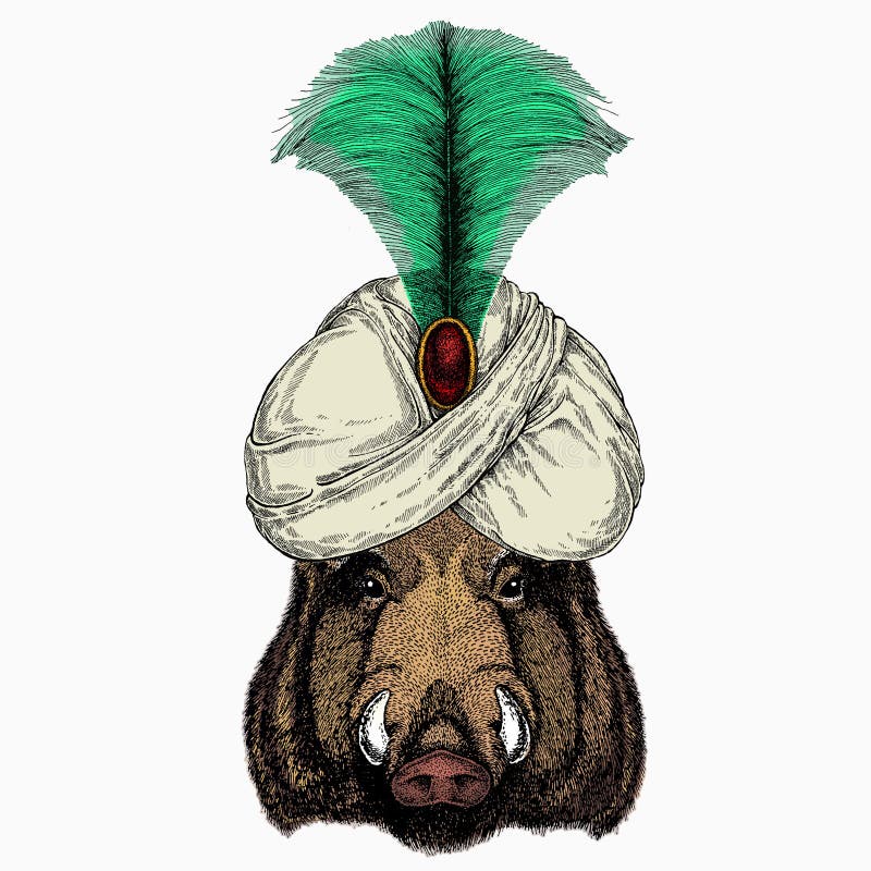 Wild Boar, Hog, Pig. Animal and Wizard Hat. Sorcerer and Magican Stock Vector - Illustration of traditional, magic: 211336655 Wild Boar, Hog, Pig. Animal and Wizard Hat. Sorcerer and Magican Stock Vector - Illustration of traditional, magic: 211336655